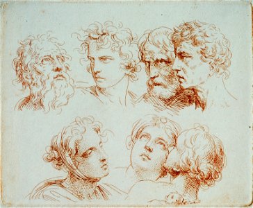 Heinrich Friedrich Füger - Študija sedmih glav