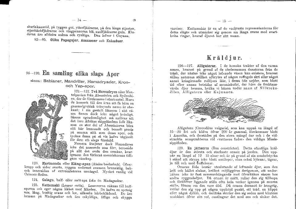 Heinrich scholz stora menageri-008