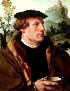 Maerten van Heemskerck - Portrait of a Gentleman