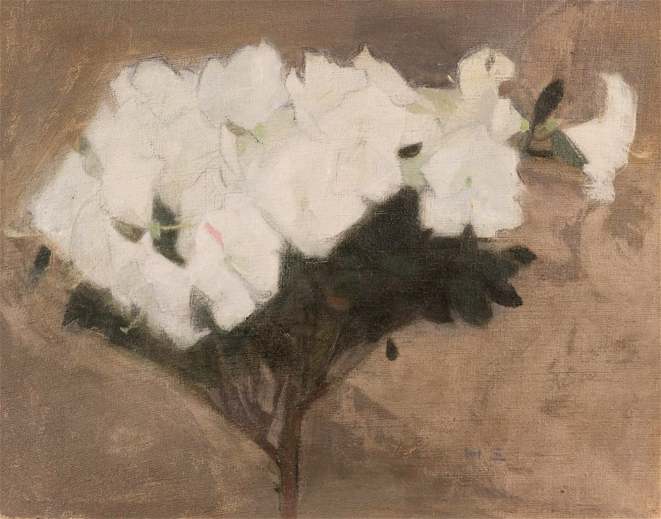 Helene Schjerfbeck - Atsalea (1904)