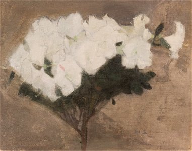 Helene Schjerfbeck - Atsalea (1904)