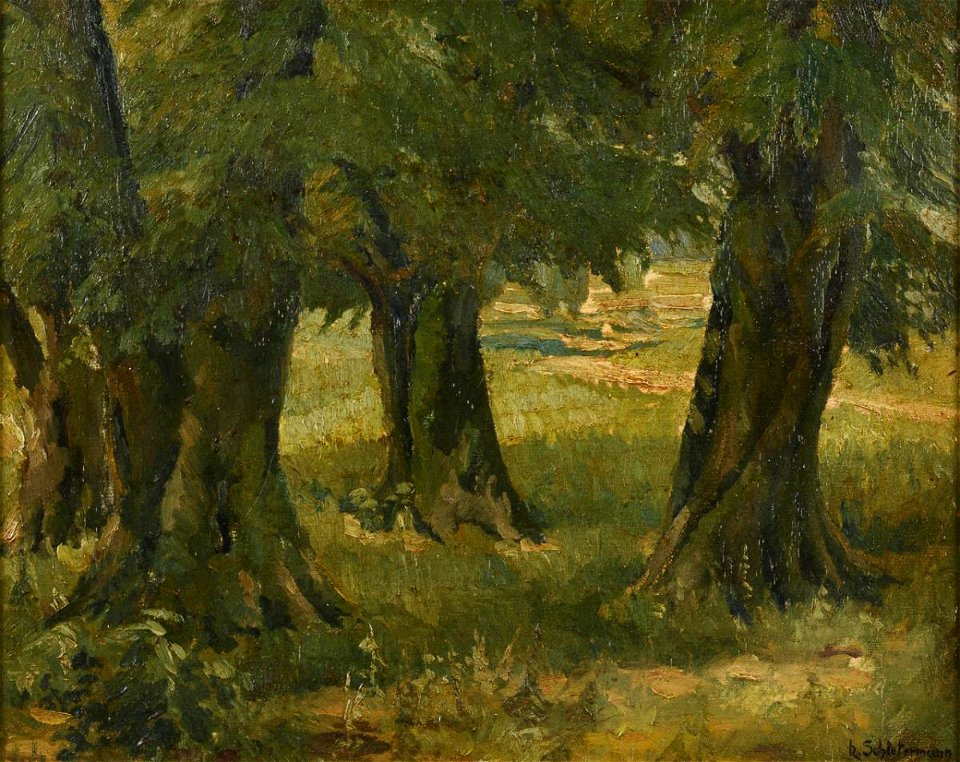 Heinrich Schlotermann Waldlichtung