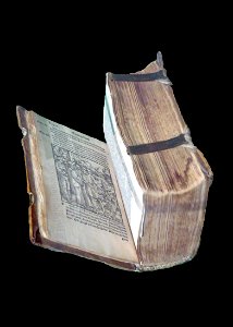 Heinrich Vogtherr-Nouveau Testament (BNUS) (2)