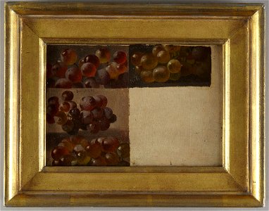 Helen R. Searle - Studies of Purple Grapes - 2013-92 - Princeton University Art Museum