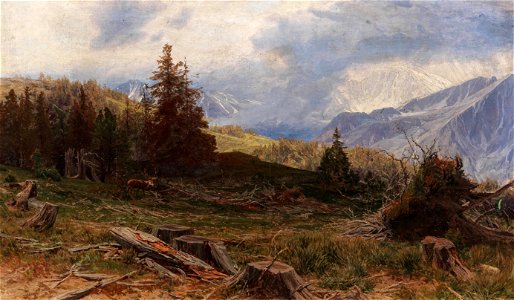 Heinrich Tomec Hirsch in weiter Landschaft mit Windbruch