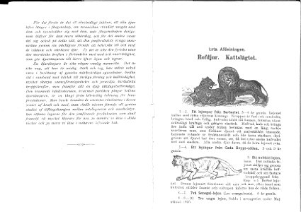 Heinrich scholz stora menageri-002