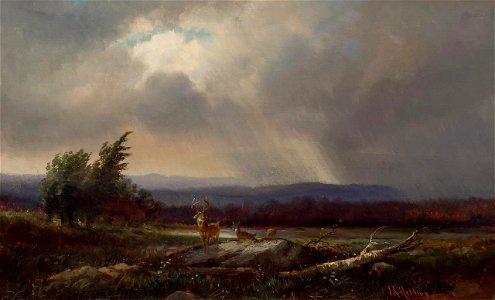 After the Storm by Joseph Antonio Hekking