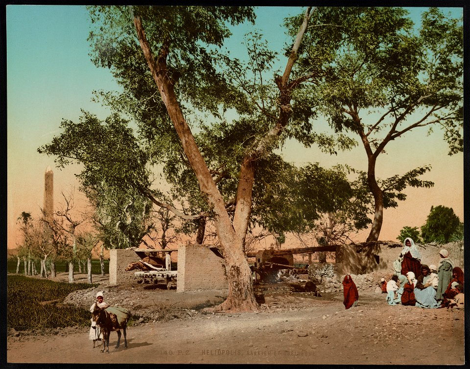 Heliopolis, Sakkieh et obelisque LCCN2017656957