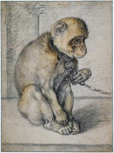 Hendrik Goltzius - Een zittende aap aan een ketting