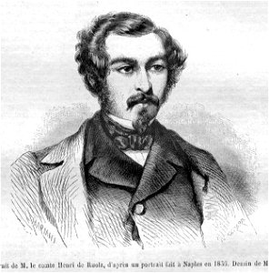 Henri de Ruolz