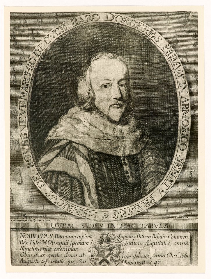 Henri de Bourgneuf