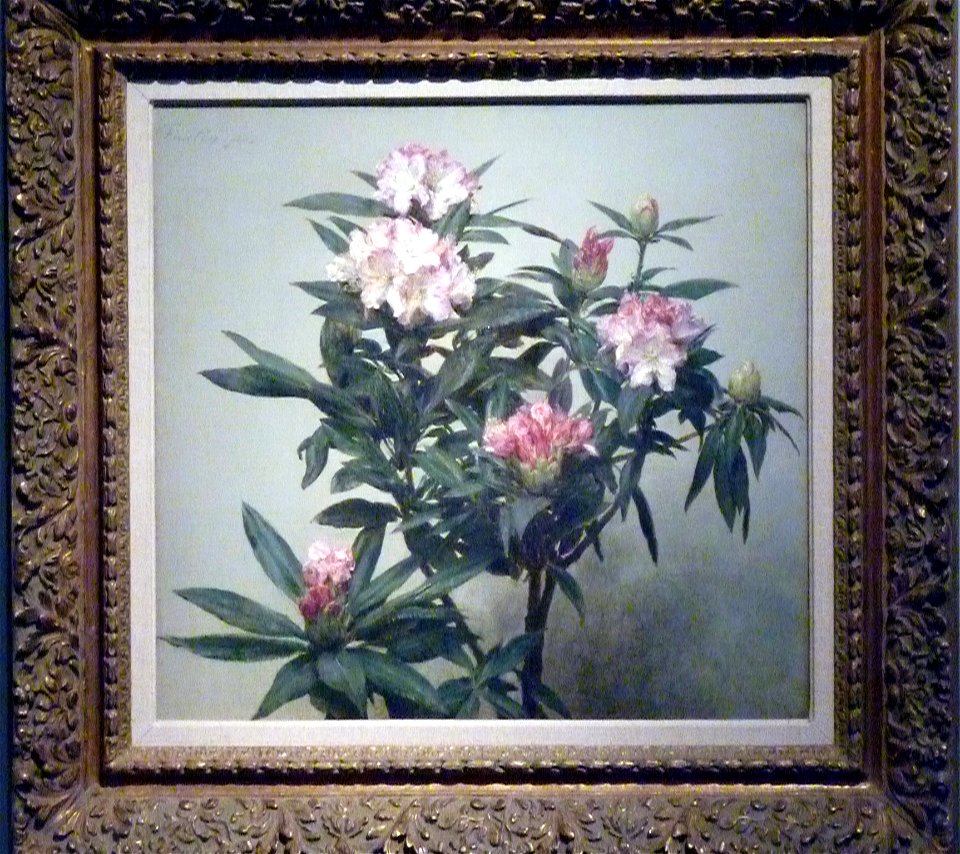 Henri Fantin-Latour - Blühender Rhododendronzweig (1874)