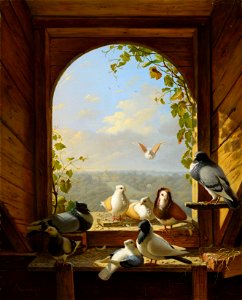 Henri Voordecker (1779-1861) - Pigeons - RCIN 400812 - Royal Collection