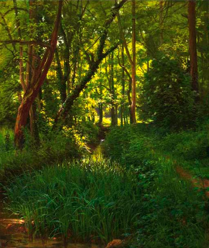 Henri Biva, A woodland stream, oil on canvas, 68.7 x 57.3 cm
