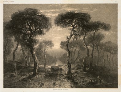 Jacomme ^ Cie. R. de Lancry, 12, Paris, Alexandre Calame (Swiss, 1810-1864), F. Delarue, r. J.J. Rouseau, 10, Paris - Oeuvres de A. Calame, No. 13, Forêt de Sierre en Valais - 2014.366 - Cleveland Museum of Art