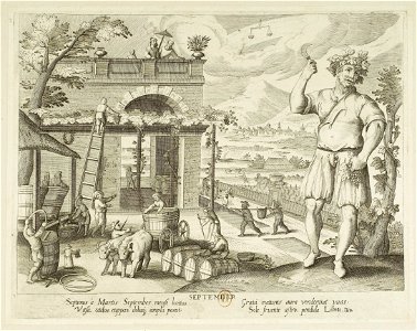 Jacques Callot - Les mois. 09, septembre - btv1b8496044k
