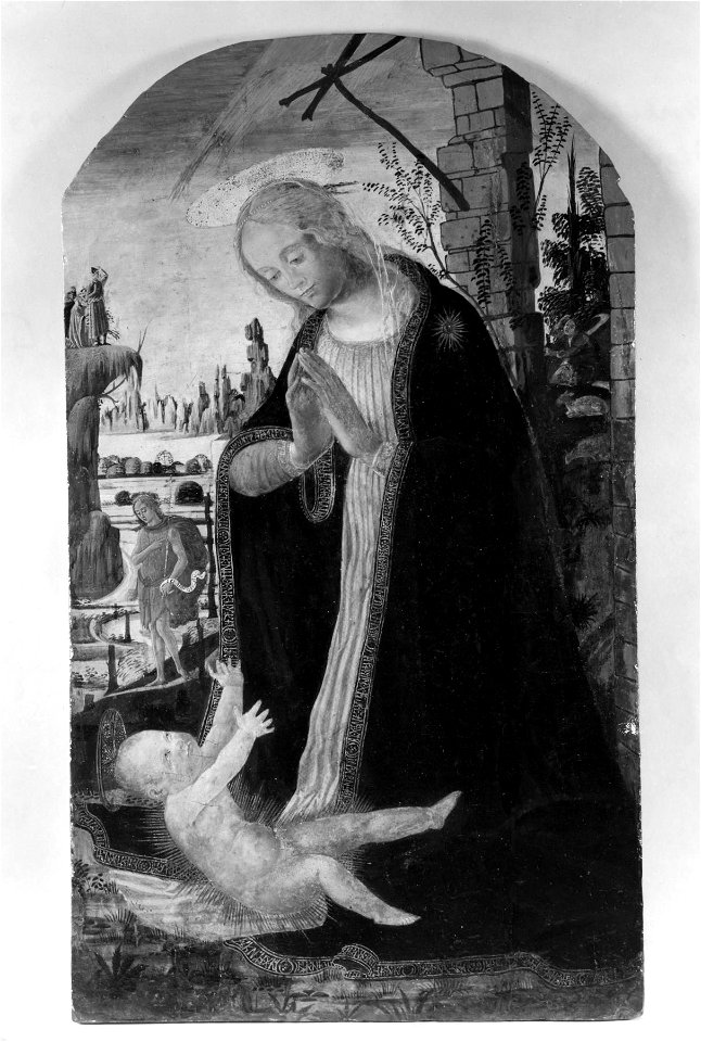 Jacopo del Sellaio - Madonna Adoring The Child - Walters 37631
