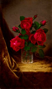 Jacqueminot Roses-Martin Johnson Heade