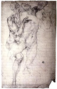 Jacopo Pontormo - Two nudes - WGA18140