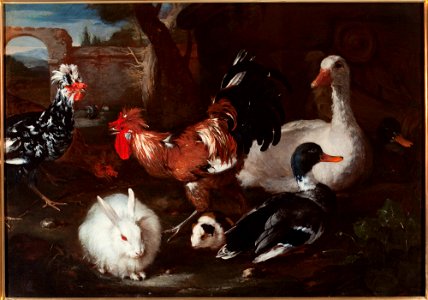 Jacomo Victors - Domestic fowls - 120898 - National Museum in Warsaw