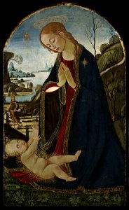 Jacopo del Sellaio - Madonna Adoring The Christ Child - 24.4 - Indianapolis Museum of Art