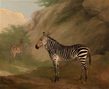 Jacques-Laurent Agasse - Zebra - Google Art Project. Free illustration for personal and commercial use.