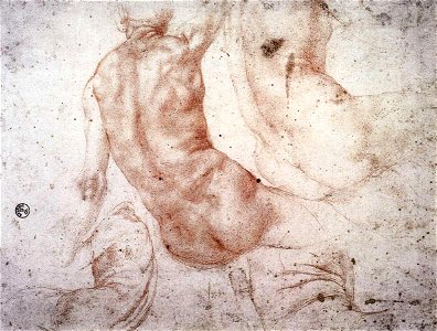 Jacopo Pontormo - Seated Nude with Raised Arm - WGA18141