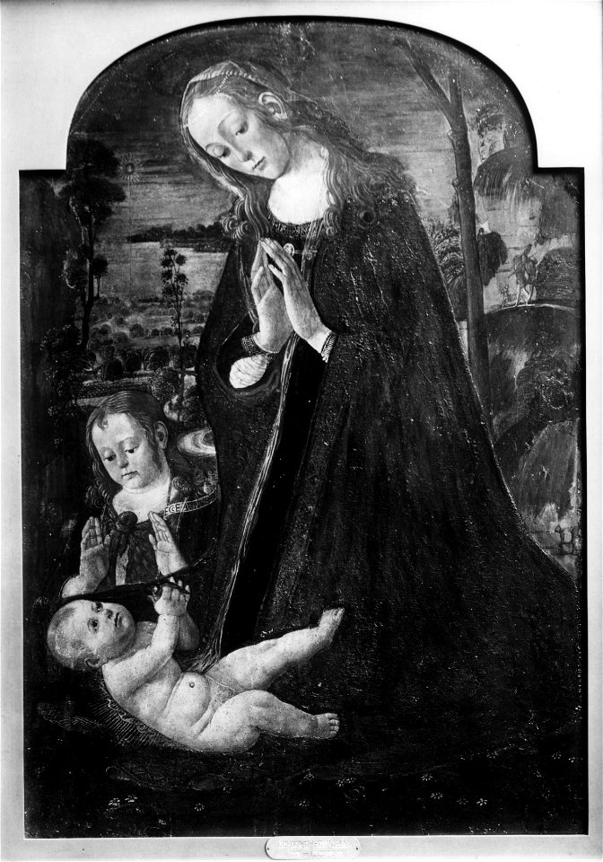 Jacopo del Sellaio - Madonna Adoring the Child - Walters 37754