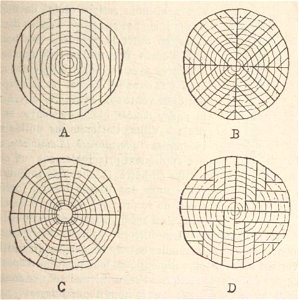 Jacques Danguy - Constructions rurales, Fig61