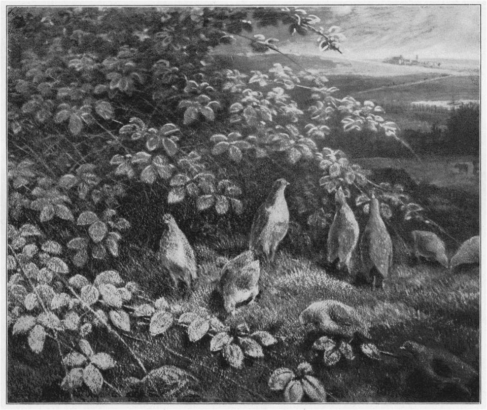 Jahrhundertausstellung 1906 KatNr. 1388g