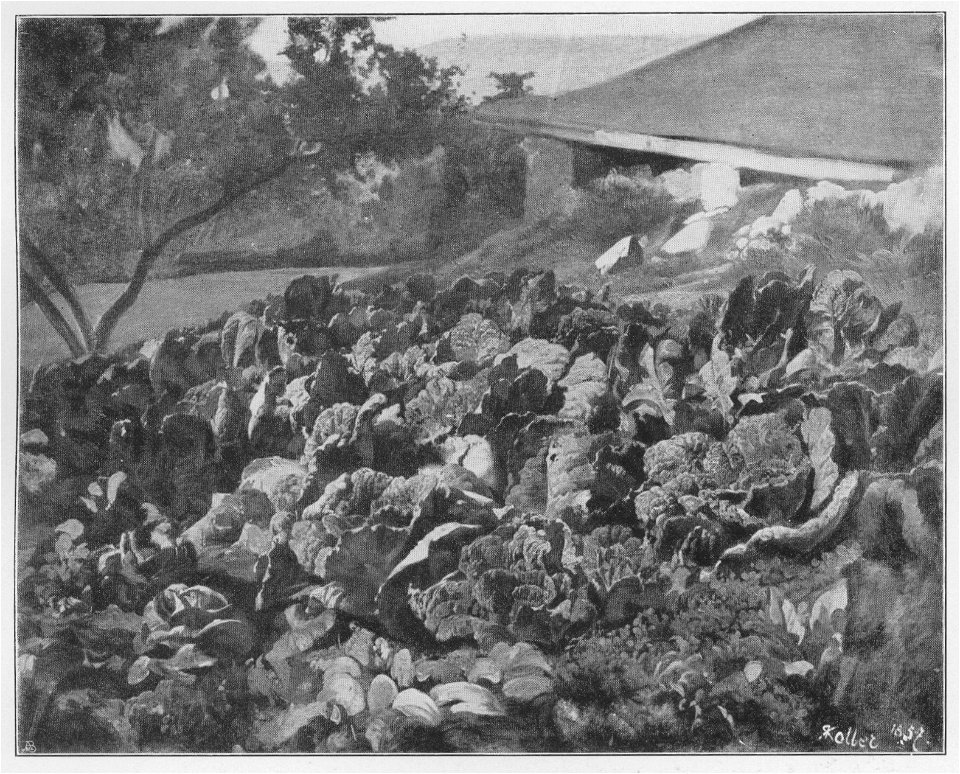 Jahrhundertausstellung 1906 KatNr. 0895