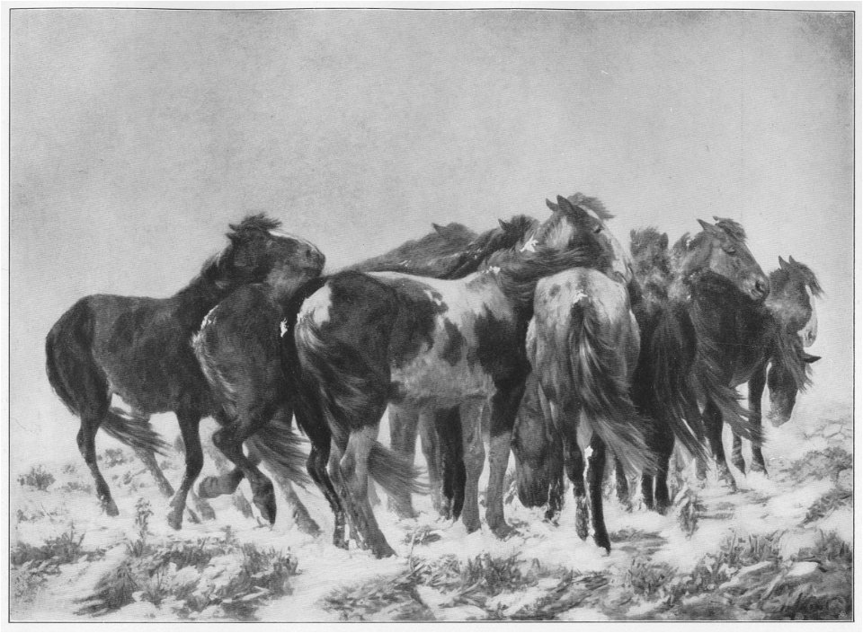 Jahrhundertausstellung 1906 KatNr. 1563