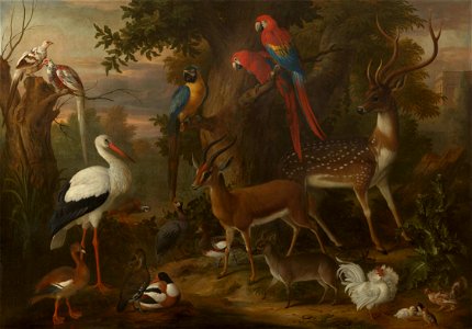 Jakob Bogdani (c. 1660-1720) - Birds and Deer in a Landscape - RCIN 405686 - Royal Collection