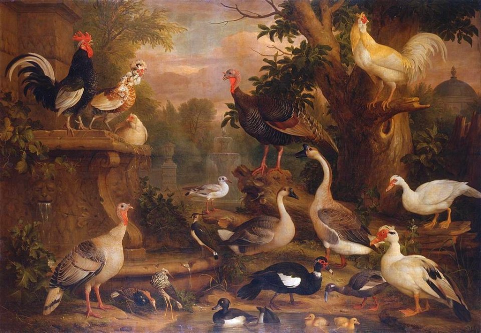 Jakob Bogdani (c. 1660-1720) - Birds in a Landscape - RCIN 406150 - Royal Collection