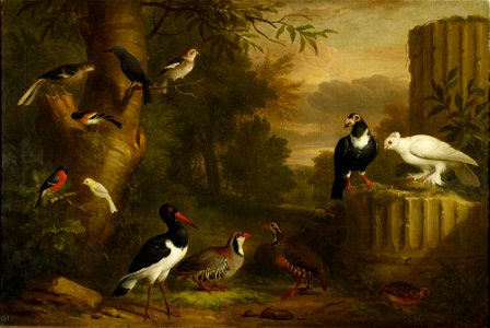 Jakob Bogdani (c. 1660-1720) - Birds in a Landscape - RCIN 407212 - Royal Collection