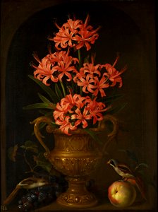 Jakob Bogdani (c. 1660-1720) - A vase of flowers - RCIN 405620 - Royal Collection