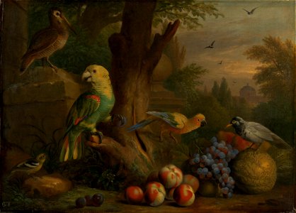 Jakob Bogdani (c. 1660-1720) - Birds and Fruit in a Landscape - RCIN 402408 - Royal Collection