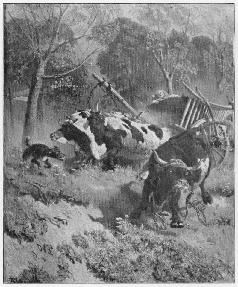 Jahrhundertausstellung 1906 KatNr. 1558