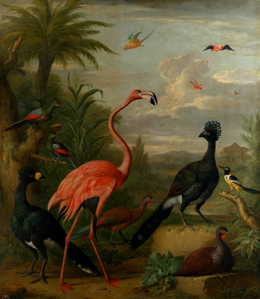 Jakob Bogdani (c. 1660-1720) - Birds in a Landscape - RCIN 402908 - Royal Collection