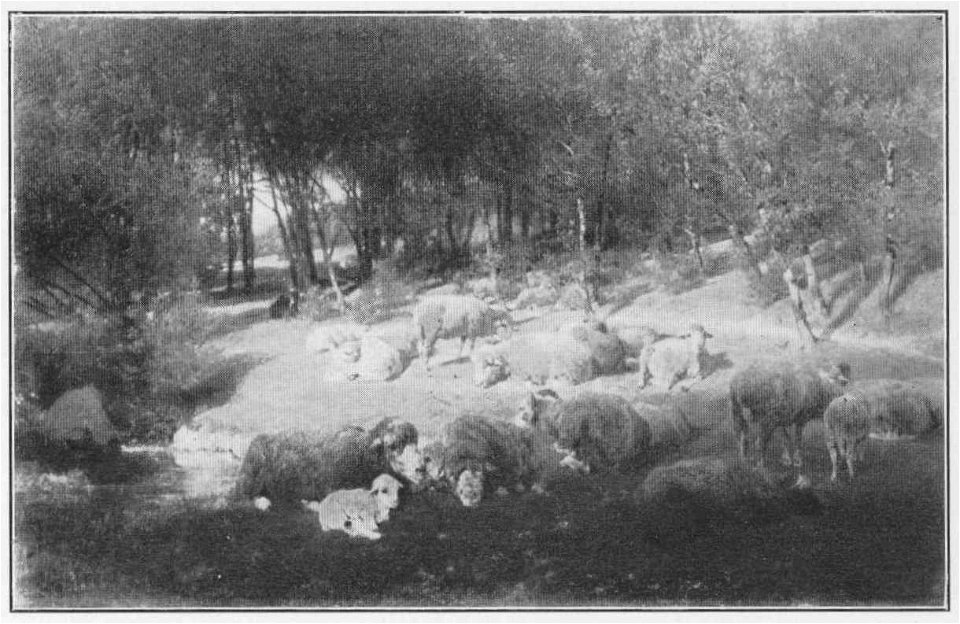 Jahrhundertausstellung 1906 KatNr. 2020