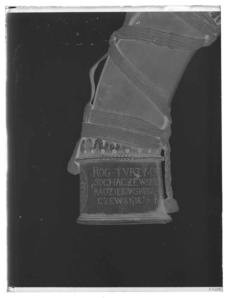 Jakthorn, enligt inskriptionen tillverkat av horn från den siste uroxen i Europa - Livrustkammaren - 19457-negative