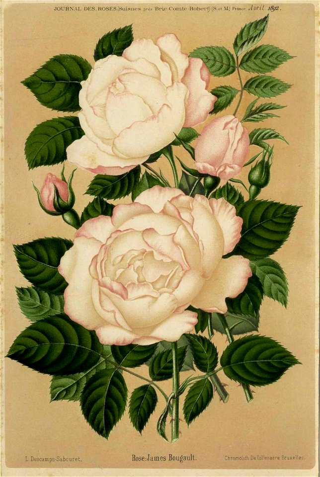 James Bougault