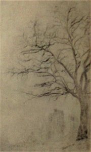 James Ensor (1888) Acacia 001