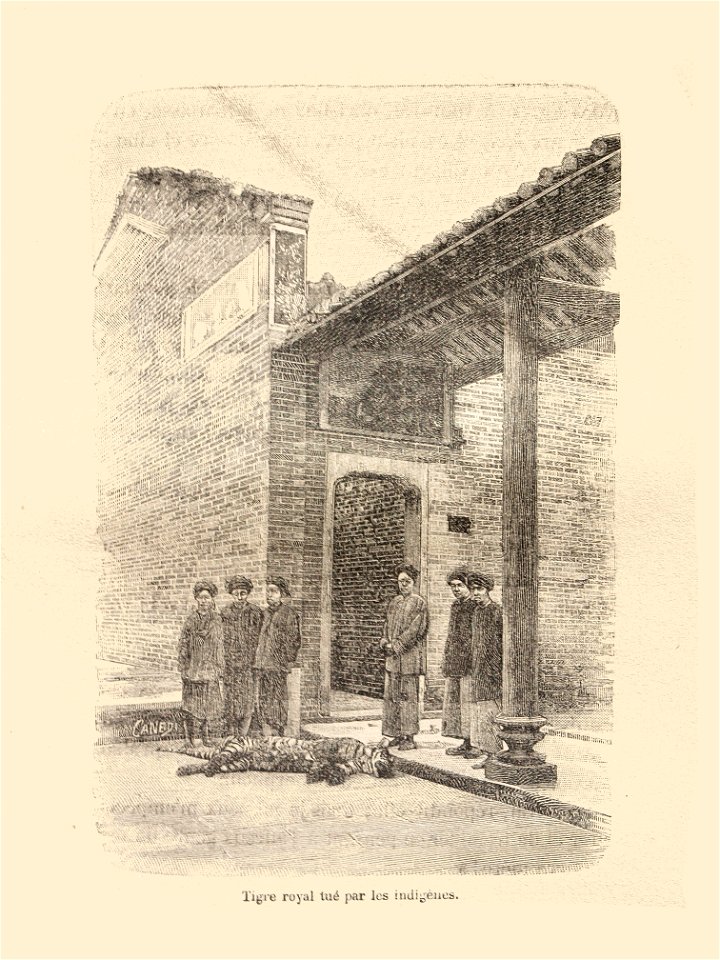L.Girod-Dix Ans de Haut-Tonkin-1899-trophée de tigre royal