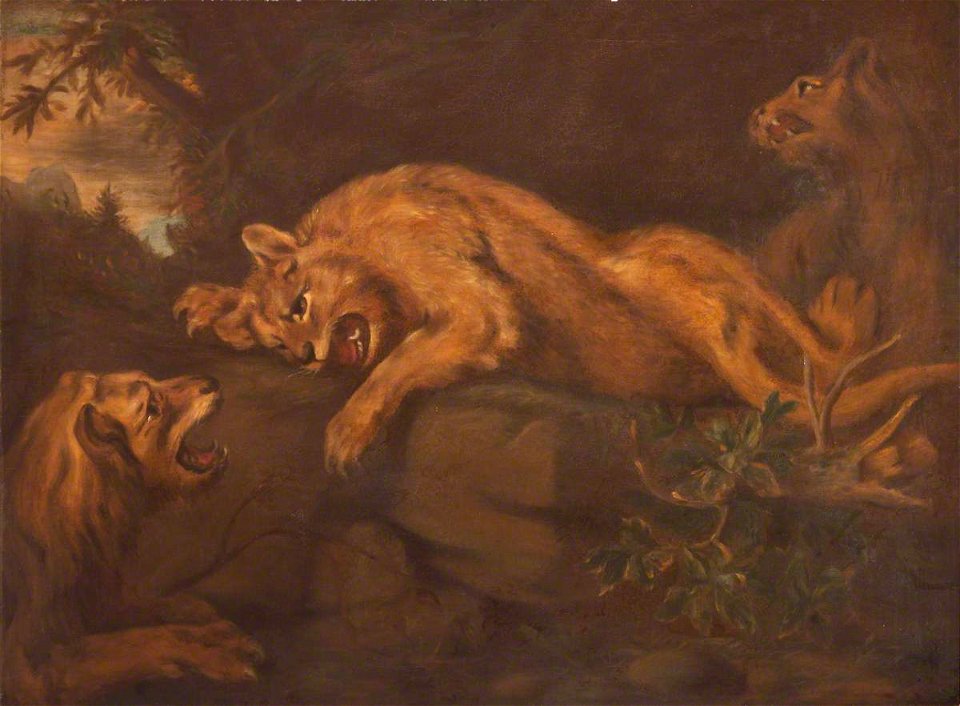 James Northcote (1746-1831) (circle of) - Mountain Lions - 1548085 - National Trust