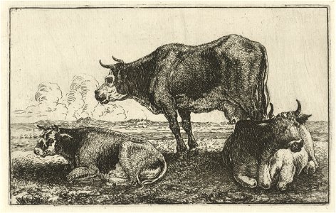Jan van den Hecke - Three cows. Free illustration for personal and commercial use.