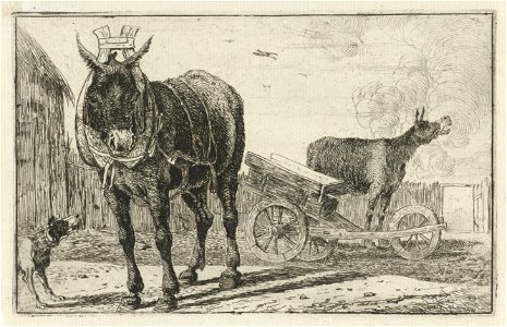Jan van den Hecke - Two donkeys. Free illustration for personal and commercial use.