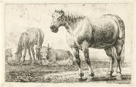 Jan van den Hecke - Horses and cows. Free illustration for personal and commercial use.