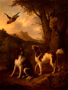 Jan van der Vaart (1647-1721-1727) - Two Spaniels and a Jay in a Landscape - 353064 - National Trust