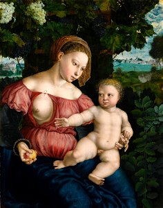 Jan Sanders van Hemessen - Virgin and Child beneath a vine. Free illustration for personal and commercial use.